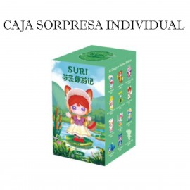 Caja Sorpresa Suri Viaje Agradable